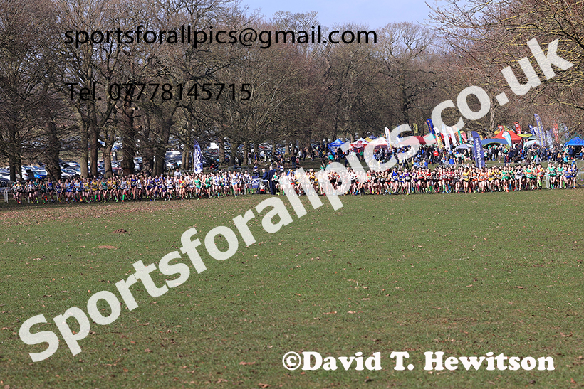 Girls under-13s 2025 UK CAU Inter Counties Cross Country Champs., Wollaton Park, Nottingham. Photo: David T. Hewitson/Sports for All Pics